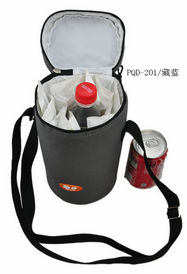 Ice package cooler bag