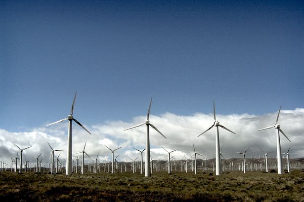 A wind farm with many wind turbines