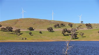 A major wind farm development in the NSW central west